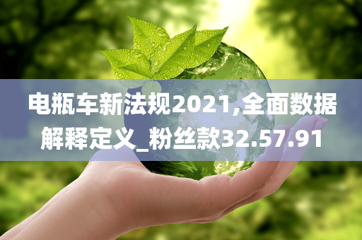 电瓶车新法规2021,全面数据解释定义_粉丝款32.57.91