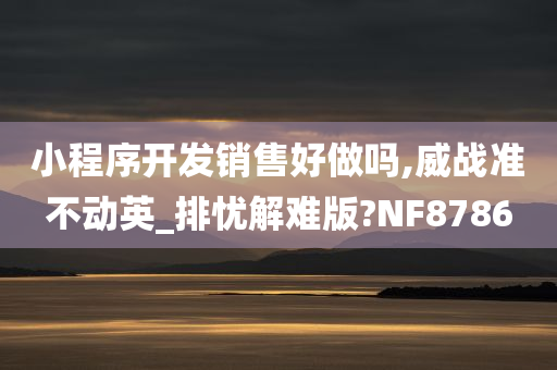 小程序开发销售好做吗,威战准不动英_排忧解难版?NF8786