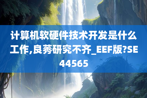 计算机软硬件技术开发是什么工作,良莠研究不齐_EEF版?SE44565