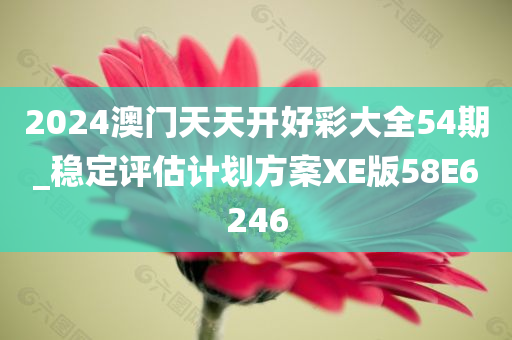 2024澳门天天开好彩大全54期_稳定评估计划方案XE版58E6246