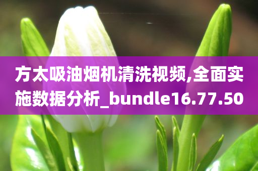 方太吸油烟机清洗视频,全面实施数据分析_bundle16.77.50