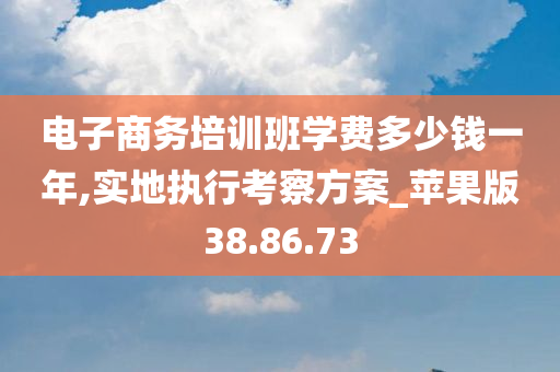 电子商务培训班学费多少钱一年,实地执行考察方案_苹果版38.86.73