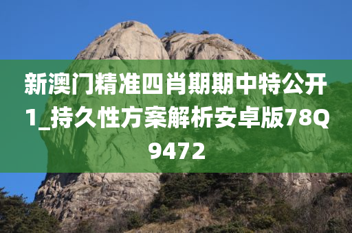 新澳门精准四肖期期中特公开1_持久性方案解析安卓版78Q9472