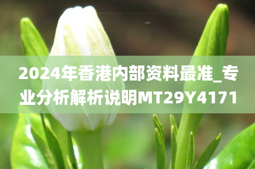 2024年香港内部资料最准_专业分析解析说明MT29Y4171