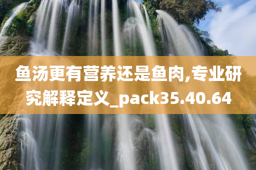 鱼汤更有营养还是鱼肉,专业研究解释定义_pack35.40.64