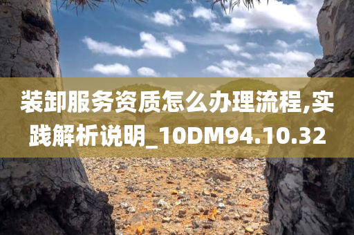 装卸服务资质怎么办理流程,实践解析说明_10DM94.10.32