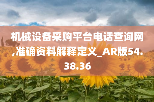 机械设备采购平台电话查询网,准确资料解释定义_AR版54.38.36