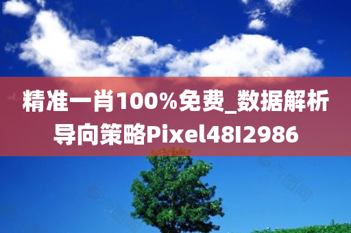 精准一肖100%免费_数据解析导向策略Pixel48I2986