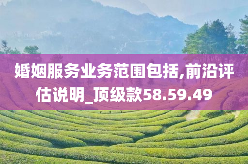 婚姻服务业务范围包括,前沿评估说明_顶级款58.59.49