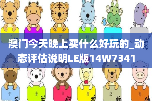 澳门今天晚上买什么好玩的_动态评估说明LE版14W7341