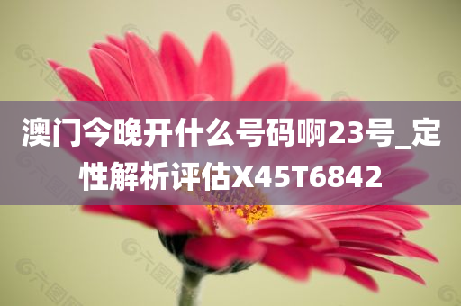 澳门今晚开什么号码啊23号_定性解析评估X45T6842