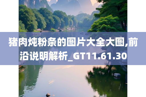 猪肉炖粉条的图片大全大图,前沿说明解析_GT11.61.30