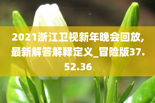 2021浙江卫视新年晚会回放,最新解答解释定义_冒险版37.52.36