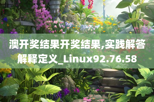 澳开奖结果开奖结果,实践解答解释定义_Linux92.76.58