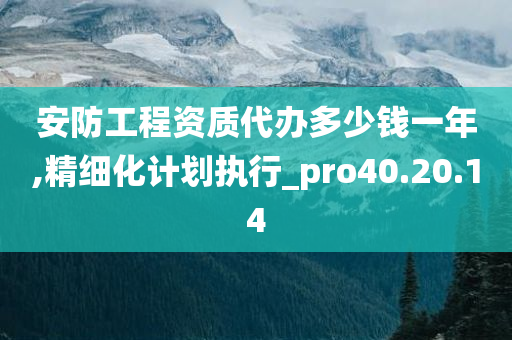 安防工程资质代办多少钱一年,精细化计划执行_pro40.20.14