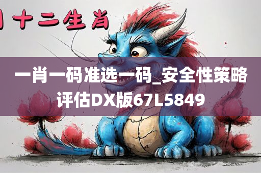 一肖一码准选一码_安全性策略评估DX版67L5849