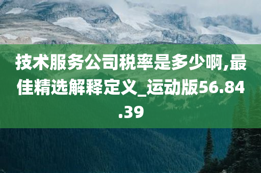 技术服务公司税率是多少啊,最佳精选解释定义_运动版56.84.39