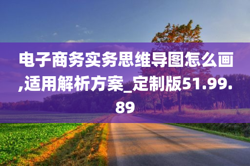 电子商务实务思维导图怎么画,适用解析方案_定制版51.99.89