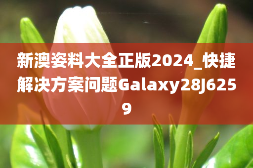 新澳姿料大全正版2024_快捷解决方案问题Galaxy28J6259