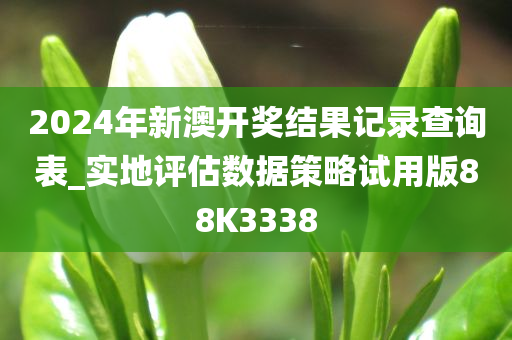 2024年新澳开奖结果记录查询表_实地评估数据策略试用版88K3338