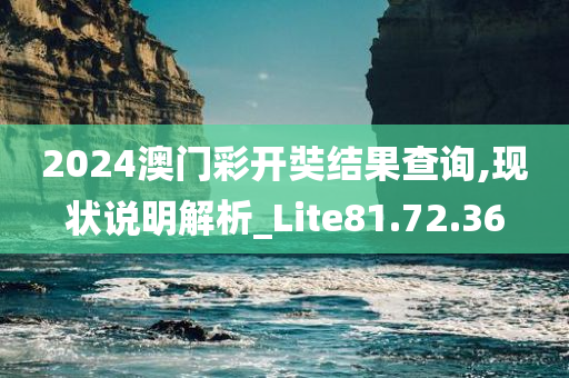 2024澳门彩开奘结果查询,现状说明解析_Lite81.72.36