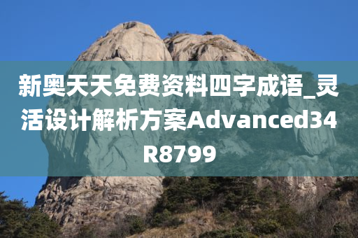 新奥天天免费资料四字成语_灵活设计解析方案Advanced34R8799