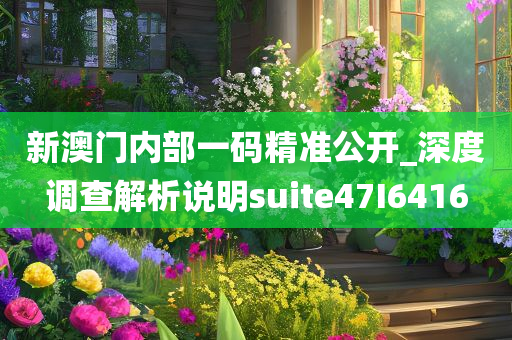 新澳门内部一码精准公开_深度调查解析说明suite47I6416