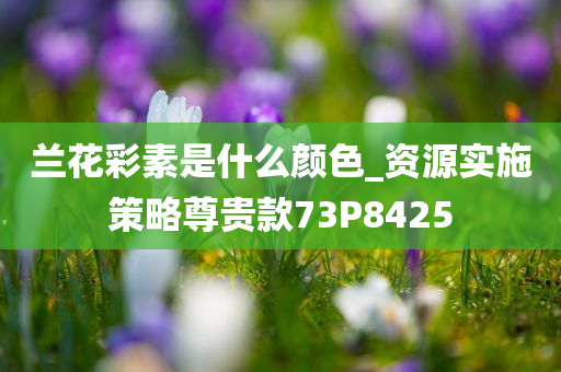 兰花彩素是什么颜色_资源实施策略尊贵款73P8425