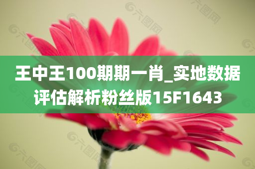 王中王100期期一肖_实地数据评估解析粉丝版15F1643