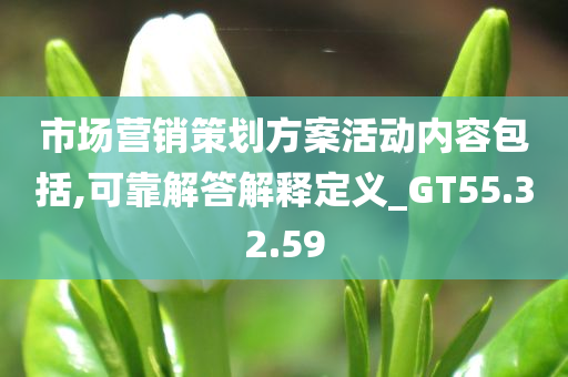 市场营销策划方案活动内容包括,可靠解答解释定义_GT55.32.59