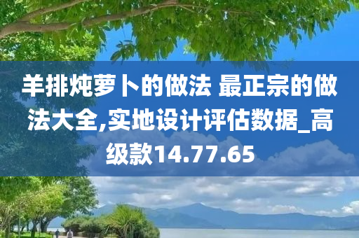 羊排炖萝卜的做法 最正宗的做法大全,实地设计评估数据_高级款14.77.65