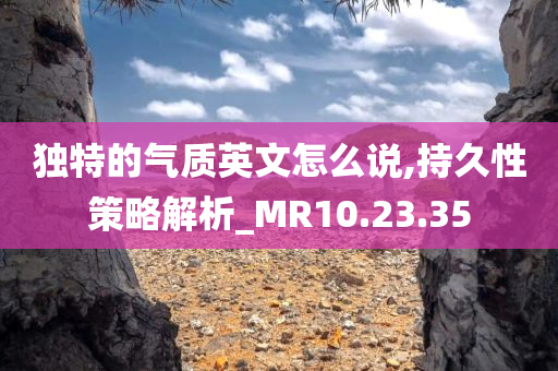 独特的气质英文怎么说,持久性策略解析_MR10.23.35