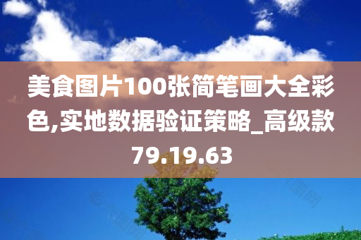 美食图片100张简笔画大全彩色,实地数据验证策略_高级款79.19.63