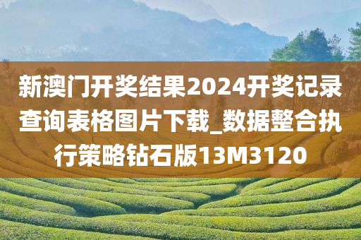 新澳门开奖结果2024开奖记录查询表格图片下载_数据整合执行策略钻石版13M3120