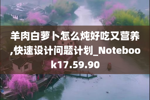 羊肉白萝卜怎么炖好吃又营养,快速设计问题计划_Notebook17.59.90