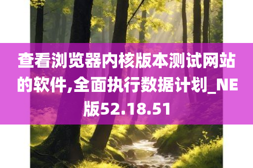 查看浏览器内核版本测试网站的软件,全面执行数据计划_NE版52.18.51