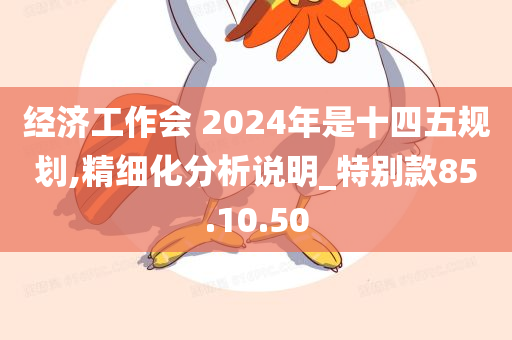 经济工作会 2024年是十四五规划,精细化分析说明_特别款85.10.50