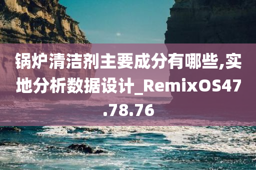 锅炉清洁剂主要成分有哪些,实地分析数据设计_RemixOS47.78.76