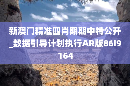 新澳门精准四肖期期中特公开_数据引导计划执行AR版86I9164