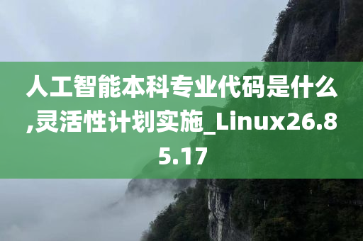 人工智能本科专业代码是什么,灵活性计划实施_Linux26.85.17