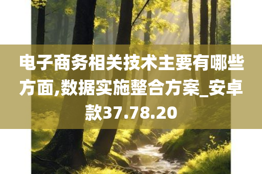 电子商务相关技术主要有哪些方面,数据实施整合方案_安卓款37.78.20