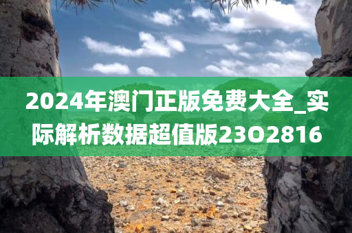 2024年澳门正版免费大全_实际解析数据超值版23O2816