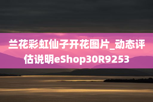 兰花彩虹仙子开花图片_动态评估说明eShop30R9253