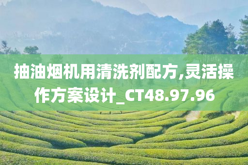 抽油烟机用清洗剂配方,灵活操作方案设计_CT48.97.96