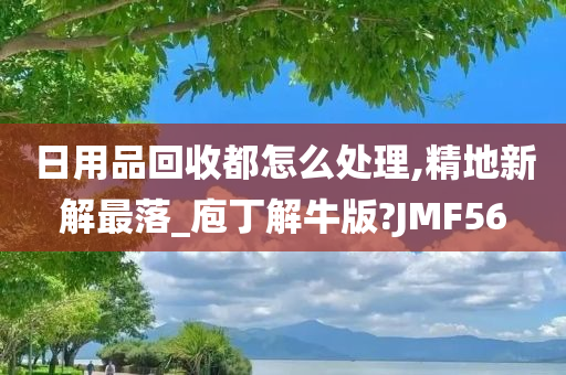 日用品回收都怎么处理,精地新解最落_庖丁解牛版?JMF56