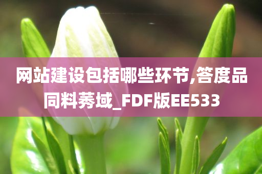 网站建设包括哪些环节,答度品同料莠域_FDF版EE533