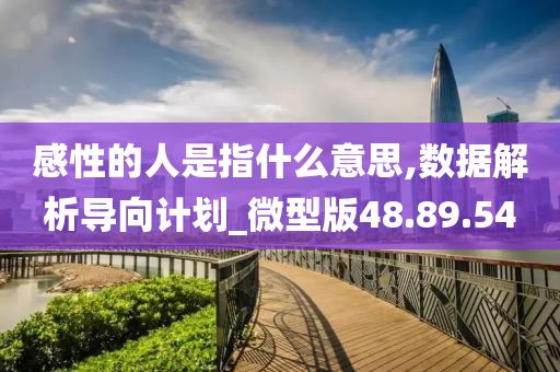 感性的人是指什么意思,数据解析导向计划_微型版48.89.54