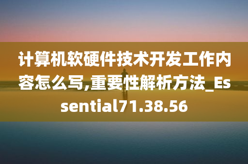 计算机软硬件技术开发工作内容怎么写,重要性解析方法_Essential71.38.56