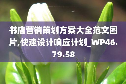 书店营销策划方案大全范文图片,快速设计响应计划_WP46.79.58