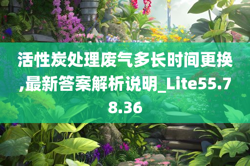 活性炭处理废气多长时间更换,最新答案解析说明_Lite55.78.36